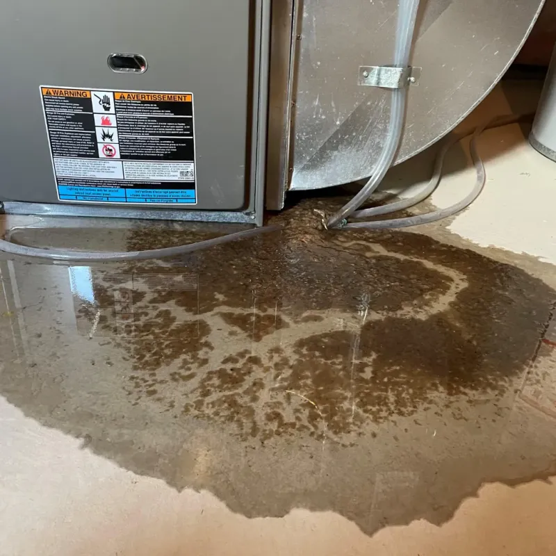 Appliance Leak Cleanup in Rising Sun, IN